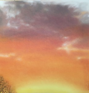 shepherd's delight